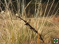 thn_Steward Island 031.jpg